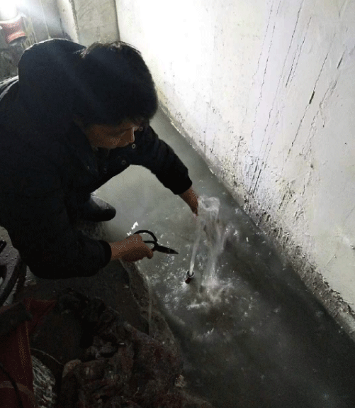 枣庄台儿庄区防水堵漏